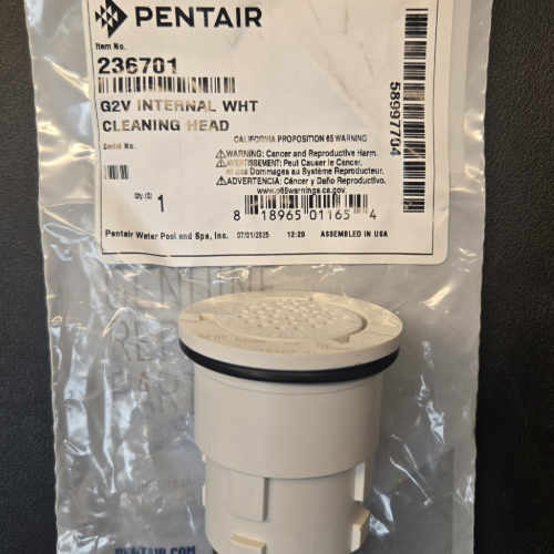 White G2V Internal Head 236701 Pentair