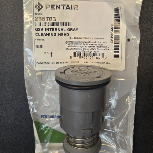 Gray G2V Internal Cleaning Head 236703 Pentair