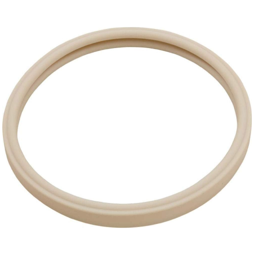 Pentair 79101600z GASKET 8" LIGHT AP