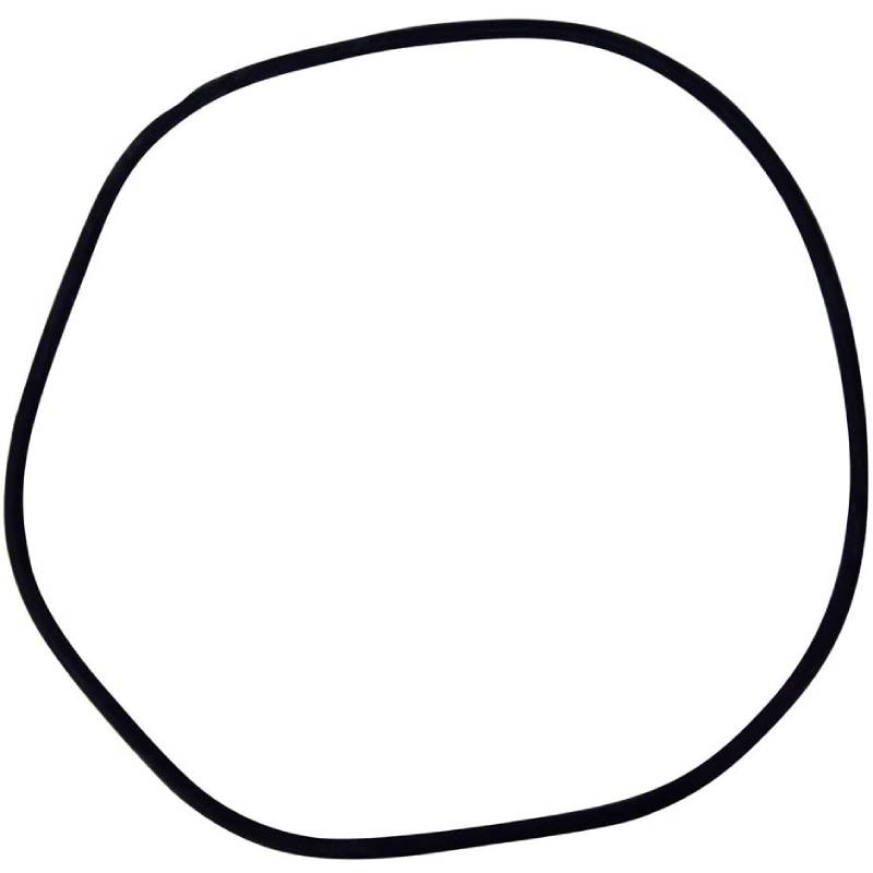 Pentair 24850-0009 O-Ring