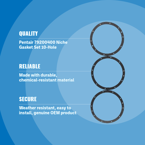 Pentair 79200400 Niche Gasket Set 10-Hole Blue Background With Layered Specs