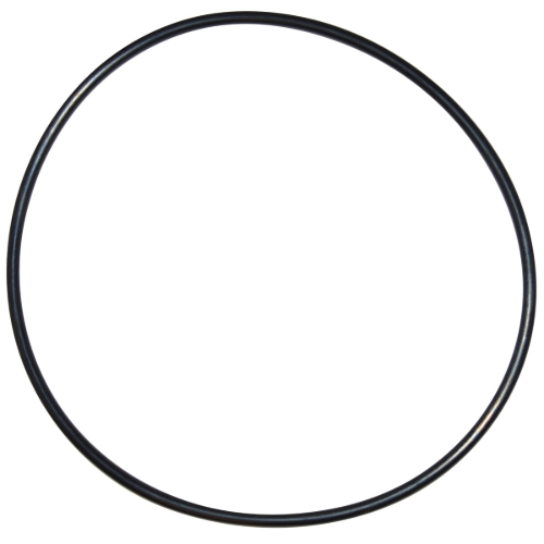 Pentair Seal Plate O-Ring