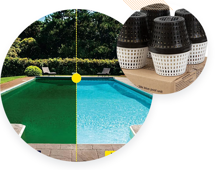 PoolRx+ Black
