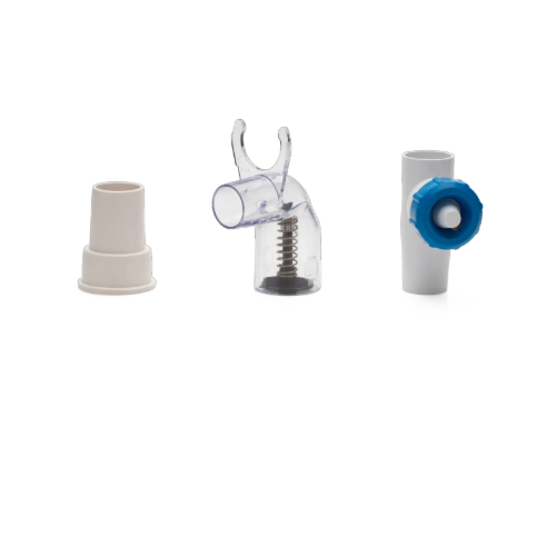 Wanda The Whale Hayward