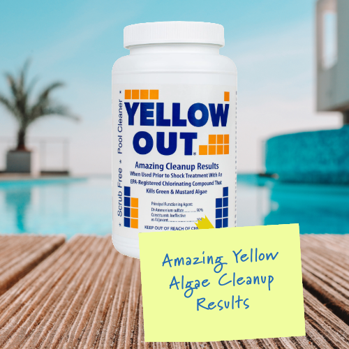Eliminates Green or Mustard Algae