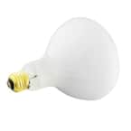 Halco | 400 Watt Flood Specialty Pool Spa Replacement Light Bulb