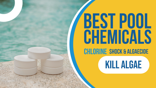Best Pool Chemicals for Algae