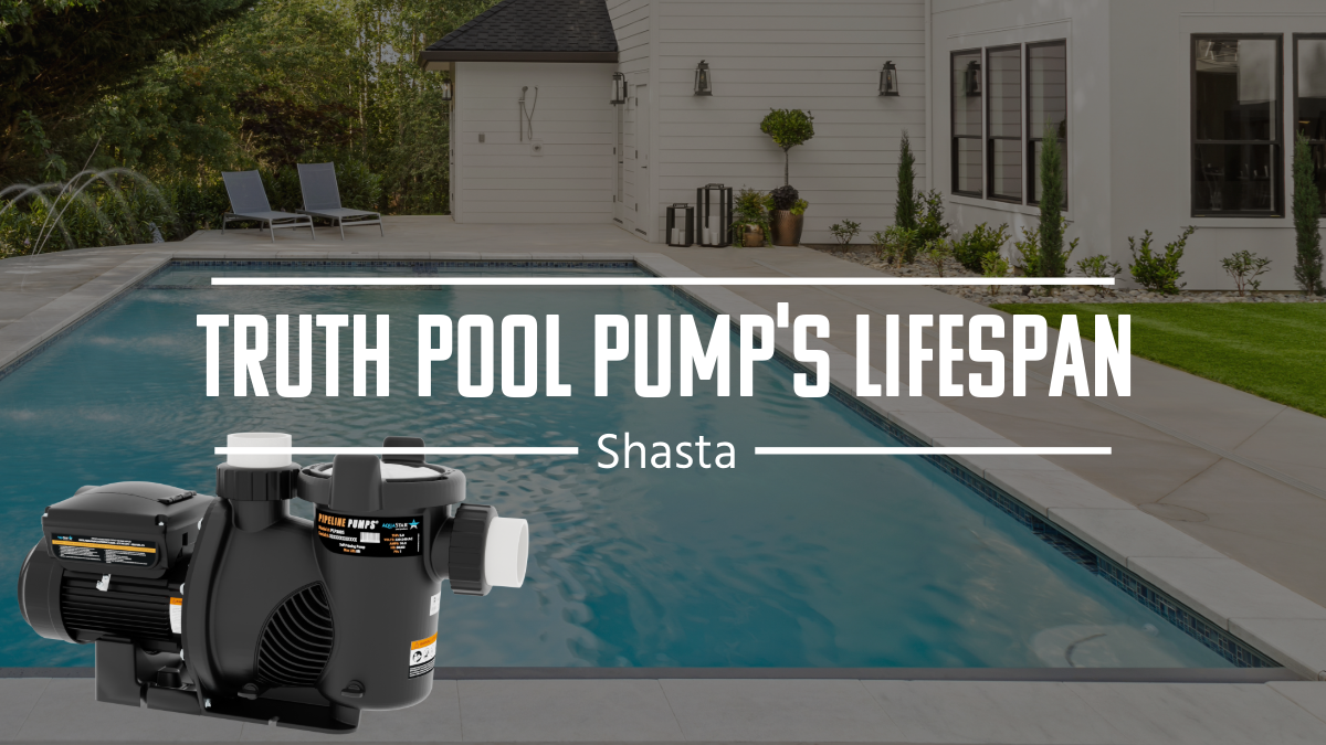 Truth About Pool Pump Lifespan