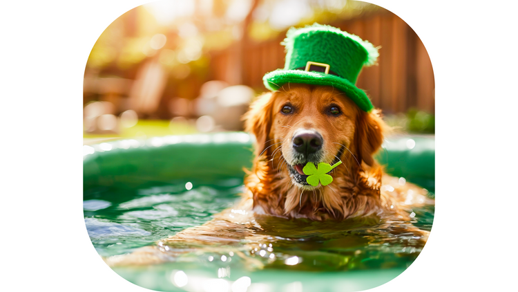 St. Patrick’s Day Pool Supply Sale