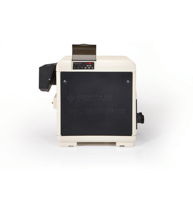 Pentair EC-462028 MasterTemp 400