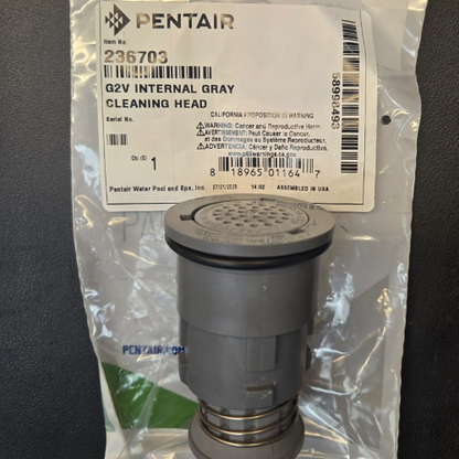 Gray G2V Internal Cleaning Head 236703 Pentair