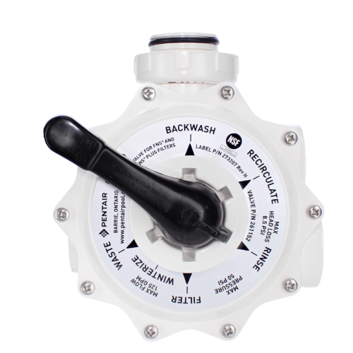 Pentair 261152 DE Multiport Valve | 2" Side Mount