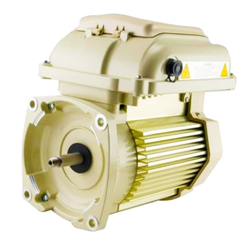 Pentair 3562895 SuperFlo VS 1.5 HP Motor & Drive