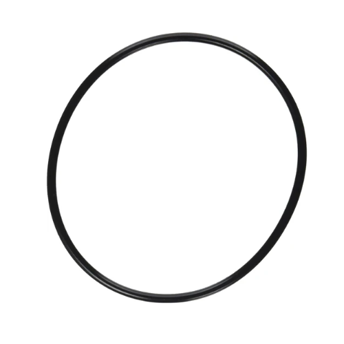 Pentair 357255Z SuperFlo Strainer O-Ring