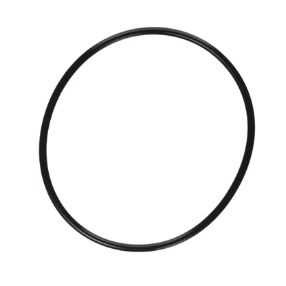 Pentair 357255Z SuperFlo Strainer O-Ring