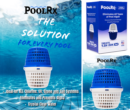 Pool Rx Blue Slime PoolRx+ Blue/White 4 Packs 7.5K–20K Gallons | Swimming Pool Algaecide ...