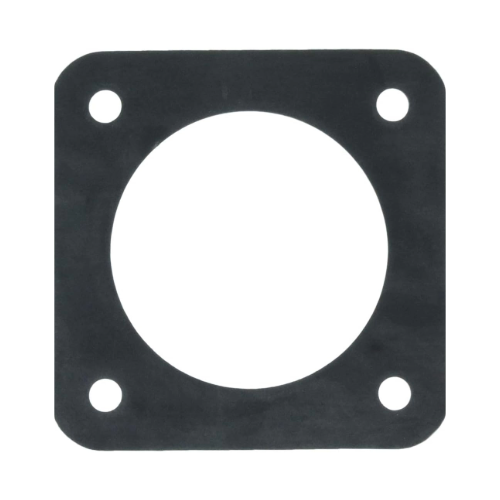 Pentair C20-123-50 Sta-Rite Suction Gasket Replacement