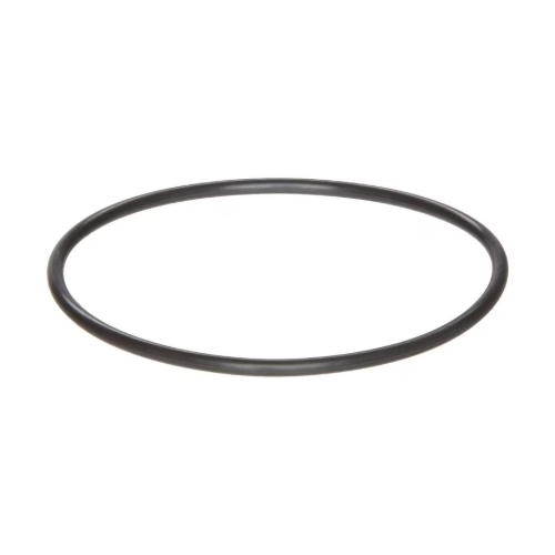 Pentair Challenger Front Housing O-Ring 355329Z
