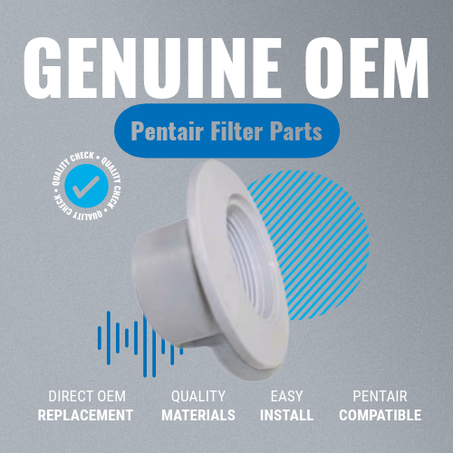 Pentair 2" Insider Fitting for Gunite, White | 542423 edited background specs