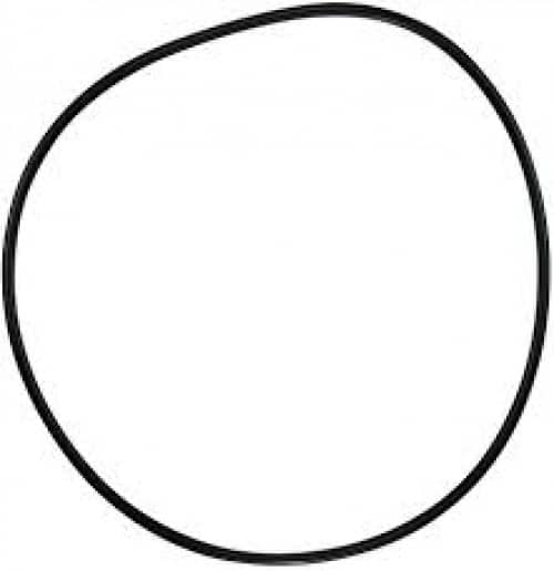 Pentair 071433 C-Series Pump O-Ring C-18 White Background