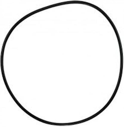 Pentair 071433 C-Series Pump O-Ring C-18 White Background