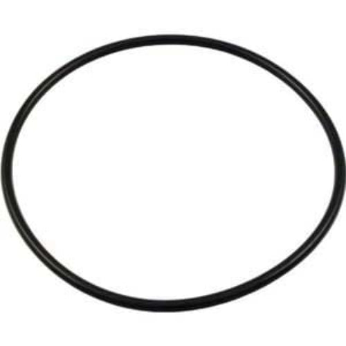Pentair R172223 Rainbow Leaf Trap O-Ring White Back