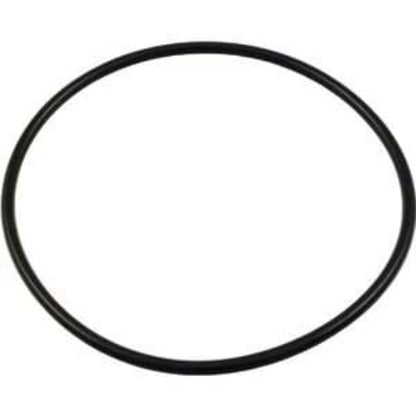 Pentair R172223 Rainbow Leaf Trap O-Ring White Back