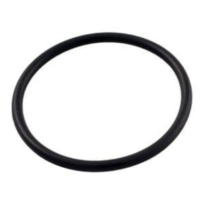 Pentair R172319 Rainbow #128 Bottom O-Ring White Background