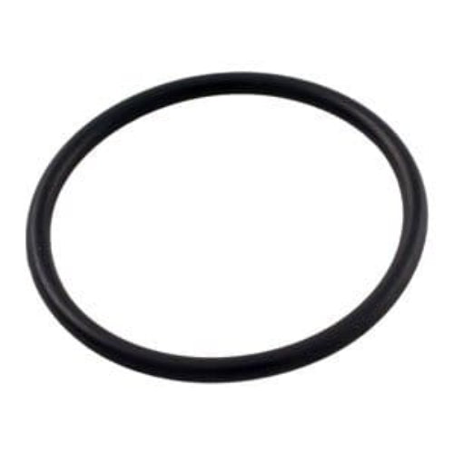 Pentair R172319 Rainbow #128 Bottom O-Ring White Background