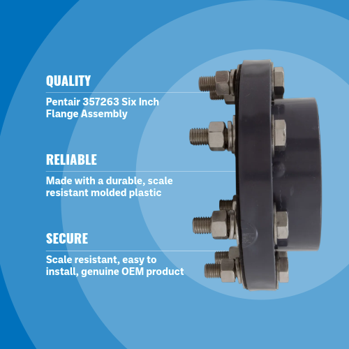 Pentair 357263 Six Inch Flange Assembly Blue background