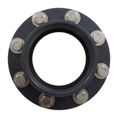 Pentair 357263 Six Inch Flange Assembly