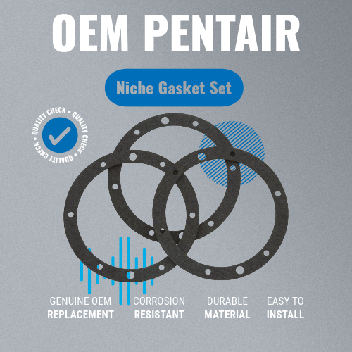 Pentair 79200400 Niche Gasket Set 10-Hole Grey Background Image with Key Features Displayed
