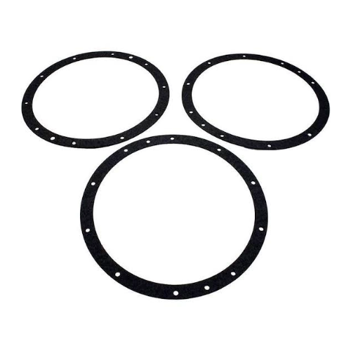 Pentair 79200400 Niche Gasket Set 10-Hole White Background