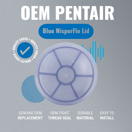 Pentair Lid WisperFlo Blue Tint PVC Chemical 357156