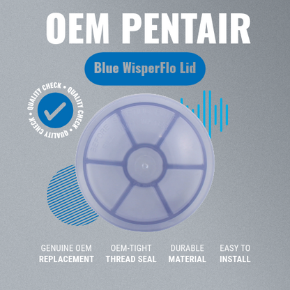 Pentair Lid WisperFlo Blue Tint PVC Chemical 357156