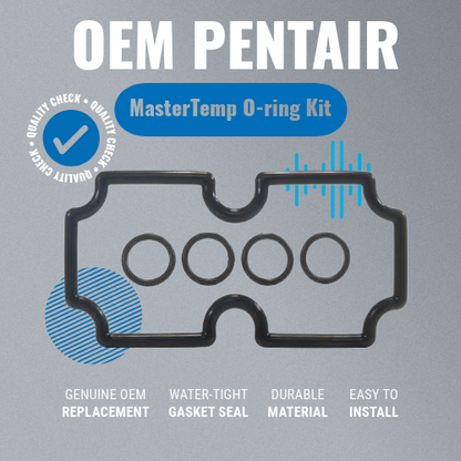 Pentair 474973 O-Ring Kit MasterTemp 125