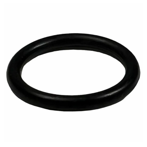 Pentair O-Ring Drain Plug | 192115Z