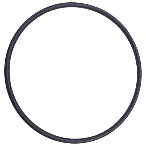 Pentair 27001-0060S Filter Tank Cord Ring