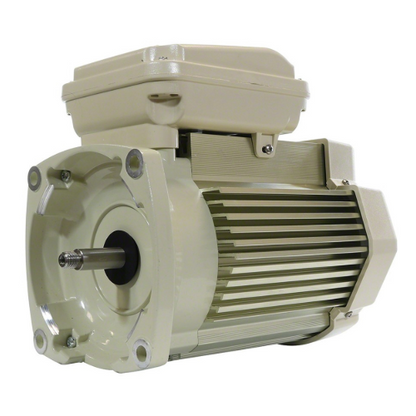 Pentair 354811S Whisperflo XF 3HP Motor