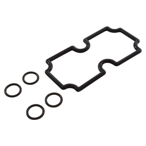Pentair 474973 O-Ring Kit MasterTemp 125