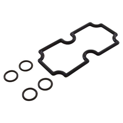 Pentair 474973 O-Ring Kit MasterTemp 125