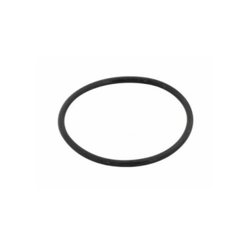 Pentair 521147 Intellichlor O-Ring 