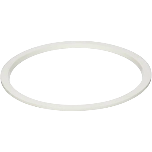 Pentair 78880200 AquaLumin/AuqaLumin II Lens Seal