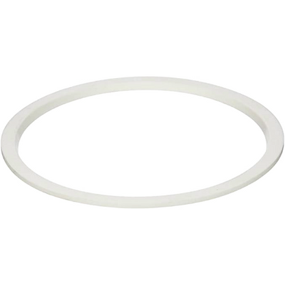Pentair 78880200 AquaLumin/AuqaLumin II Lens Seal