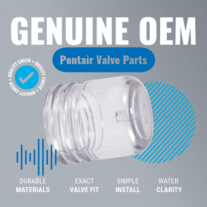 Pentair HiFlow Sight Glass with Vacuum Projector 272550 Visual