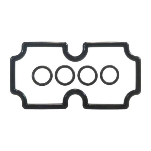 Pentair 474973 O-Ring Kit MasterTemp 125