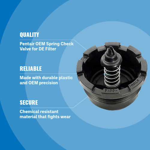 Pentair PLM/PLD Spring Check Valve 27001-0130S