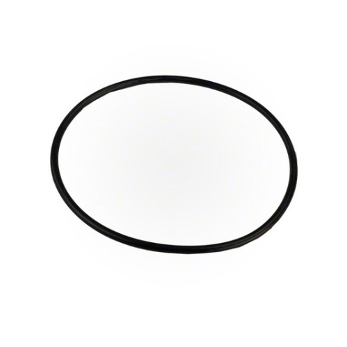Pentair R172223 Rainbow Leaf Trap O-Ring White Background