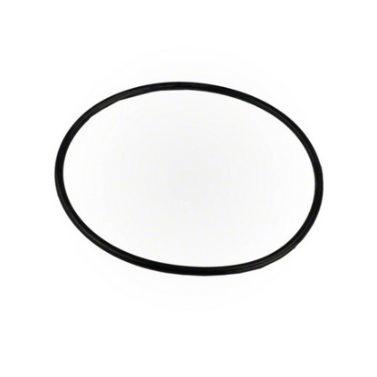 Pentair R172223 Rainbow Leaf Trap O-Ring White Background