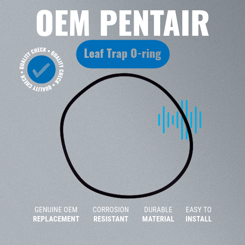 Pentair R172223 Rainbow Leaf Trap O-Ring Grey Background Key Features